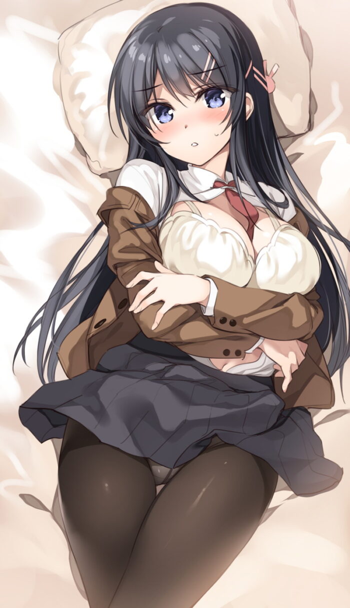 初エッチ　赤面 処女かな？】エッチ前の初な態度が興奮する女の子の二次微エロ画像 Part1 | 二次エロ喫茶